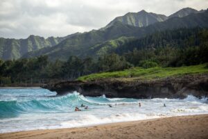 Maui Jim Sonnenbrillen aus Hawaii